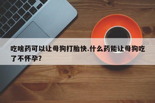 打胎药叫什么名字怎么购买吃啥药可以让母狗打胎快.什么药能让母狗吃了不怀孕？